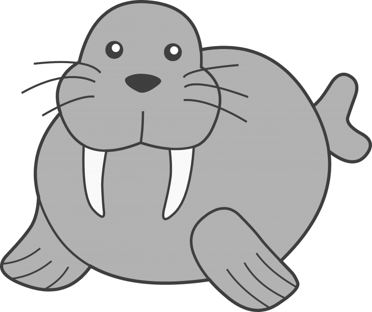 Walrus Clipart (768x643)