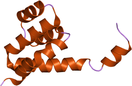 Pdb 2nsn Ebi - Graphic Design (800x600)