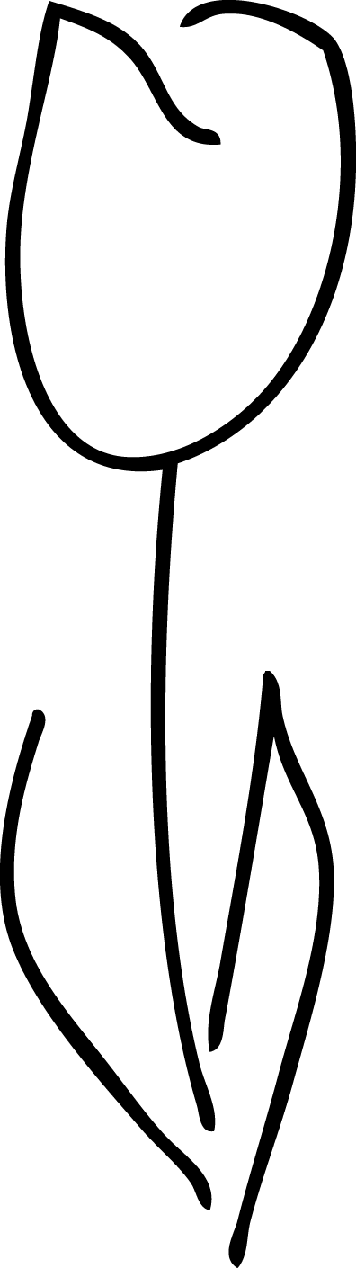 White Tulip Vector By Captain-grossaint - Tulip Vector (396x1410)
