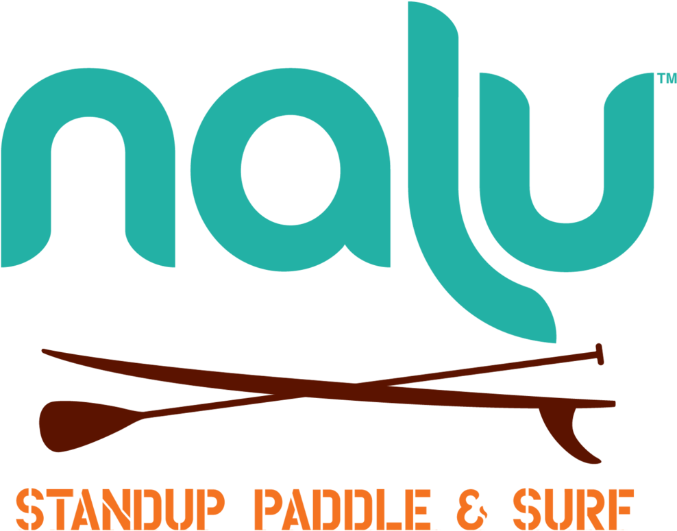 Stand Up Paddle Board Clipart (1000x780)