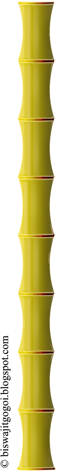 Kalash Clipart - Graphics (296x1600)