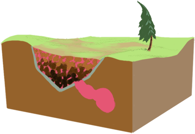 Waste Disposal - Christmas Tree (480x360)
