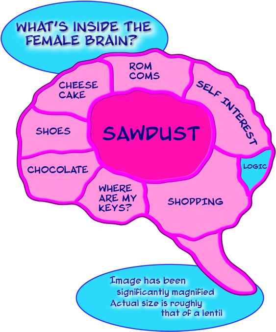 This - Inside My Brain Funny (595x693)