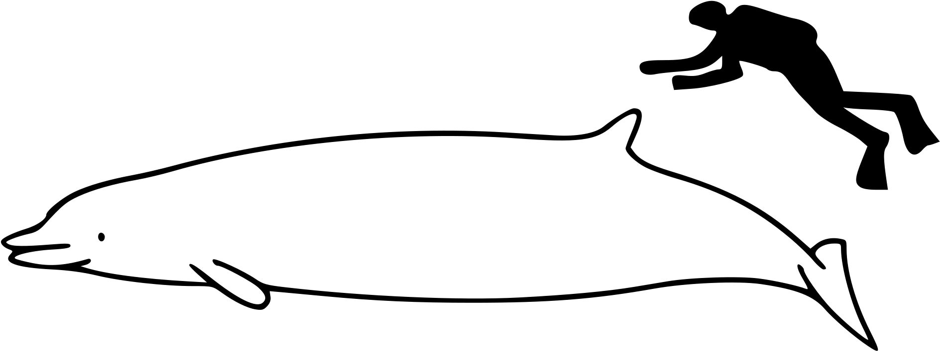 Open - Whale Size (2000x873)