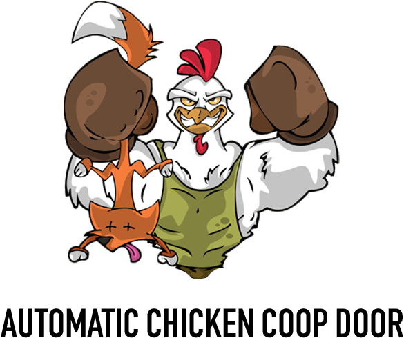   Chicken (600x600)