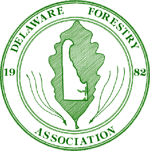 Registration Forms Are Available At Delawareforest - Prague (518x520)