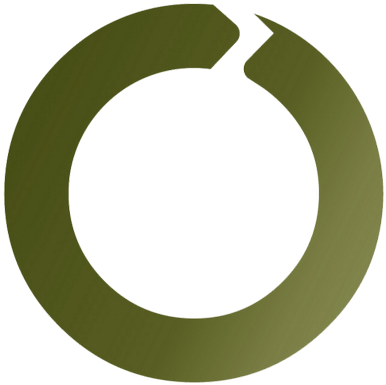 Olint - Olint (400x400)