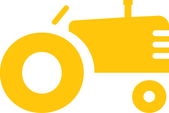 Cheese (587x395)