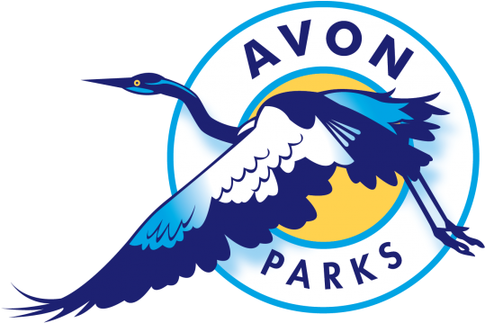 Avon (650x433)
