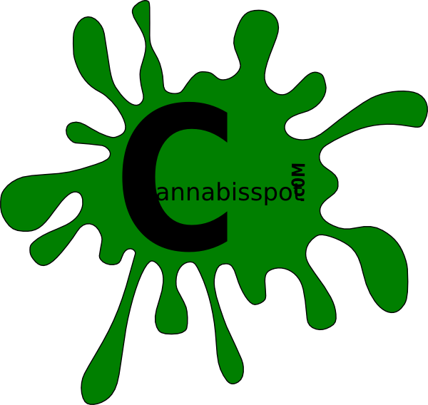 Green Clipart (600x568)