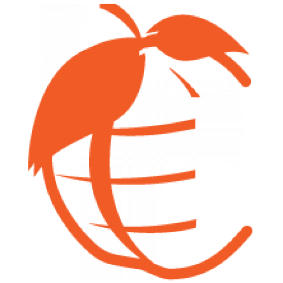 Clip Art (558x558)