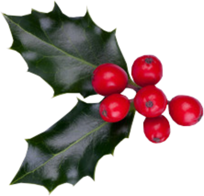 Psd - Hollyleaf Cherry (400x384)