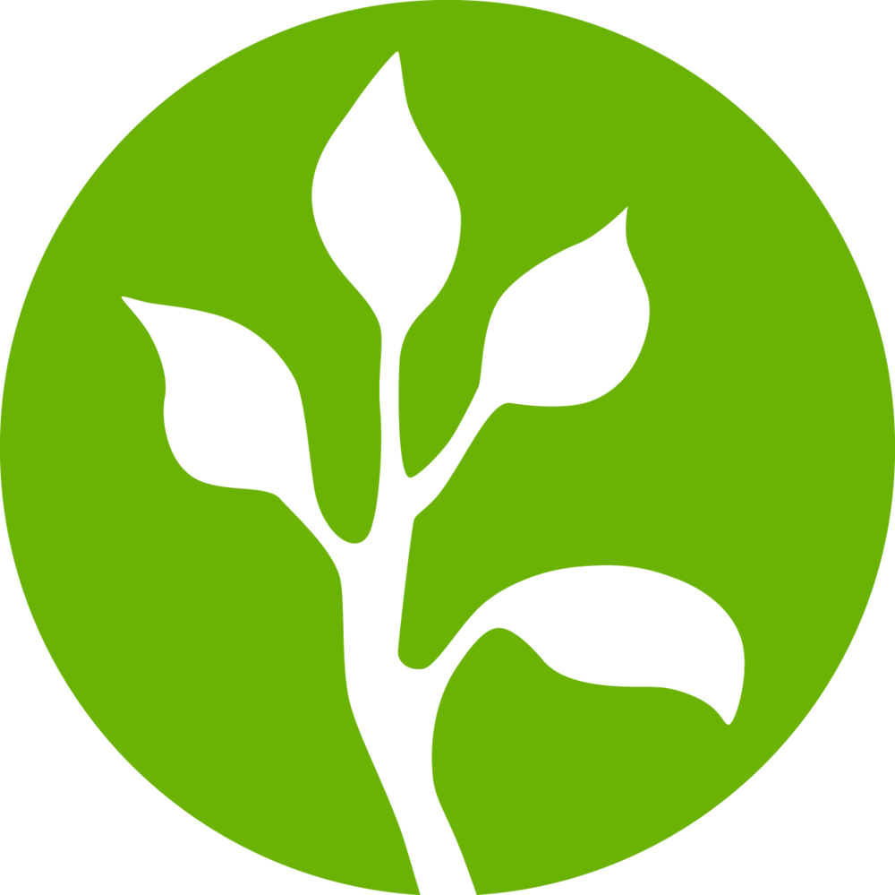4 Leaf Circle Green - 4 Leaf Circle Green (1000x999)