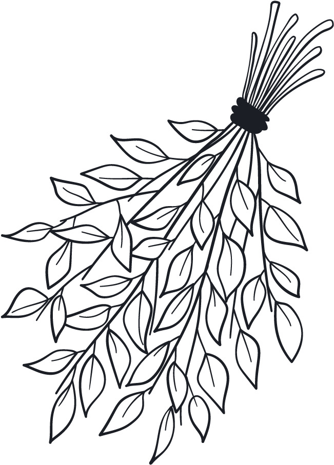 Video - Line Art (1422x1422)