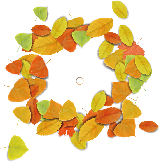Maple Leaf Circle Autumn - Maple Leaf Circle Autumn (545x555)