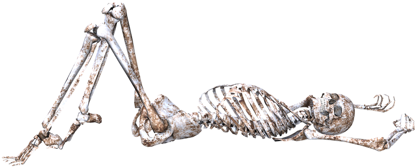 Skeleton, Pose, Skull, Bones, 3d - Skeleton, Pose, Skull, Bones, 3d (960x630)