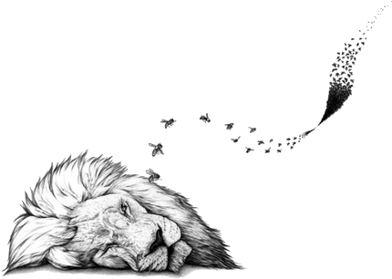 Drawing (500x342)