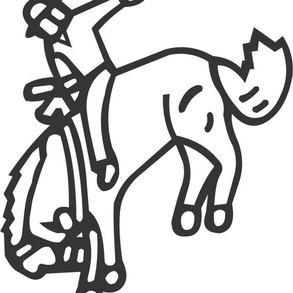Bareback Rider - Leather Jacket (600x600)