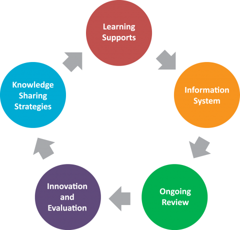 What A Continuously Improving System Looks Like - Continuous Improvement Elements (480x460)