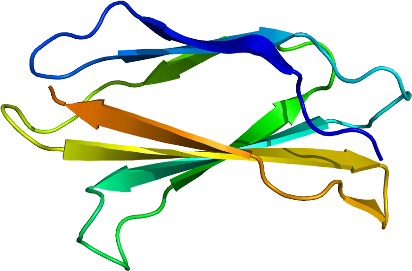 Tenascina Proteina (886x601)