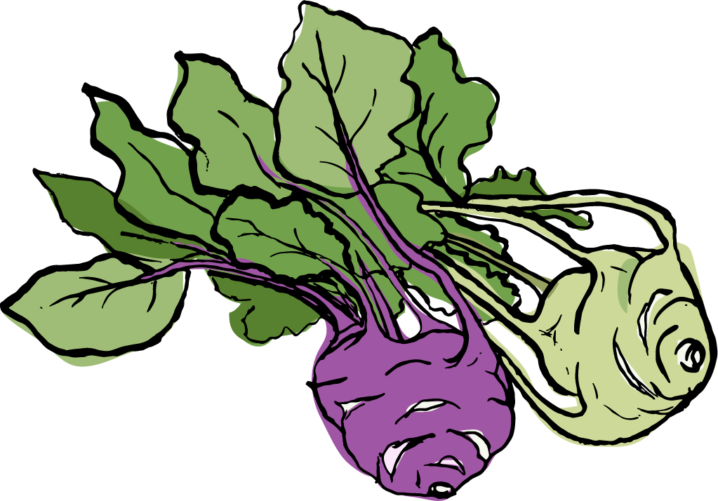 Kohl Rabi - Arugula (1023x714)