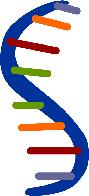 Rna - Bioinformatics (880x880)