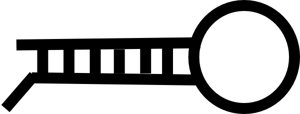 Let-7 Microrna Precursor (600x228)