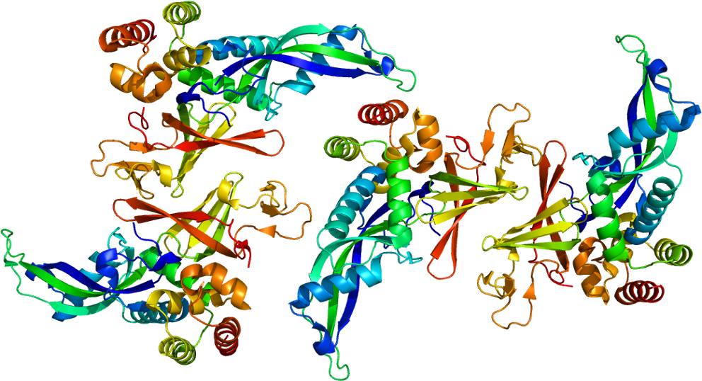 Polr2g (1041x587)