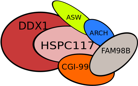 Protein Components - - Circle (640x435)