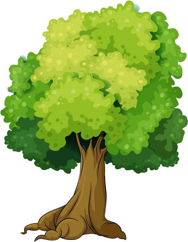 Яндекс - Фотки - Cartoon Tree Png (632x800)