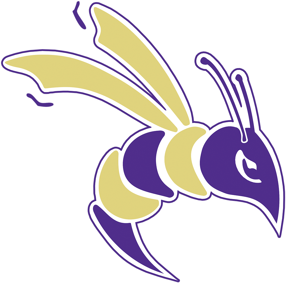 Yellow Jacket - Defiance College (2400x2400)