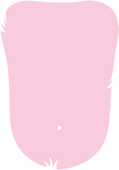 Rabbit (457x652)