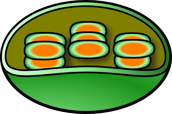 Clip Art (600x399)