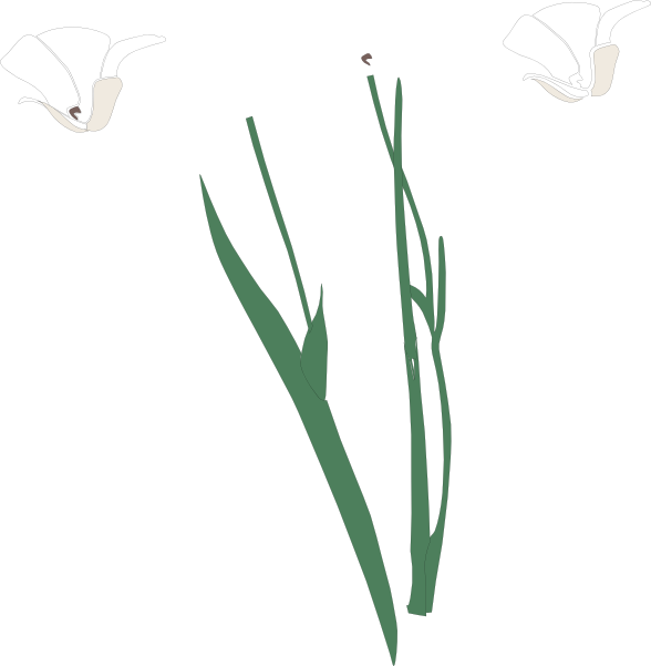 Clip Art (588x601)