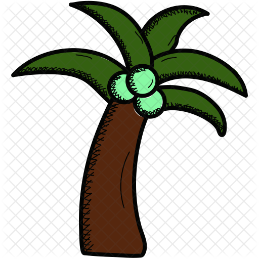 Coconut Tree Icon - Coconut Tree Icon (512x512)