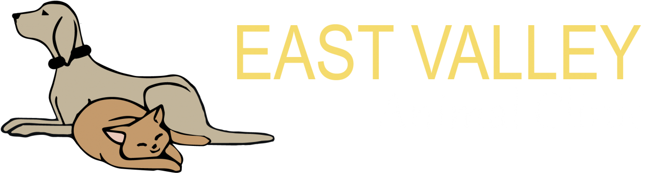 Letoplast (1500x373)