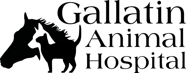 Gallatin (600x237)