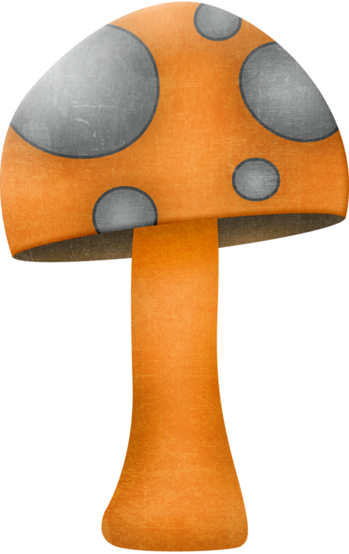 Яндекс - Фотки - Common Mushroom (504x800)