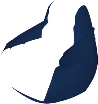 Couch (350x350)