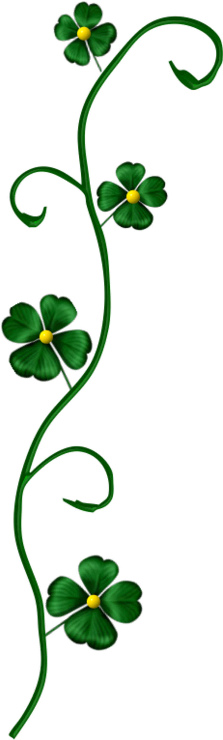 Decotreflestpatrick13m1 - Portable Network Graphics (800x2510)