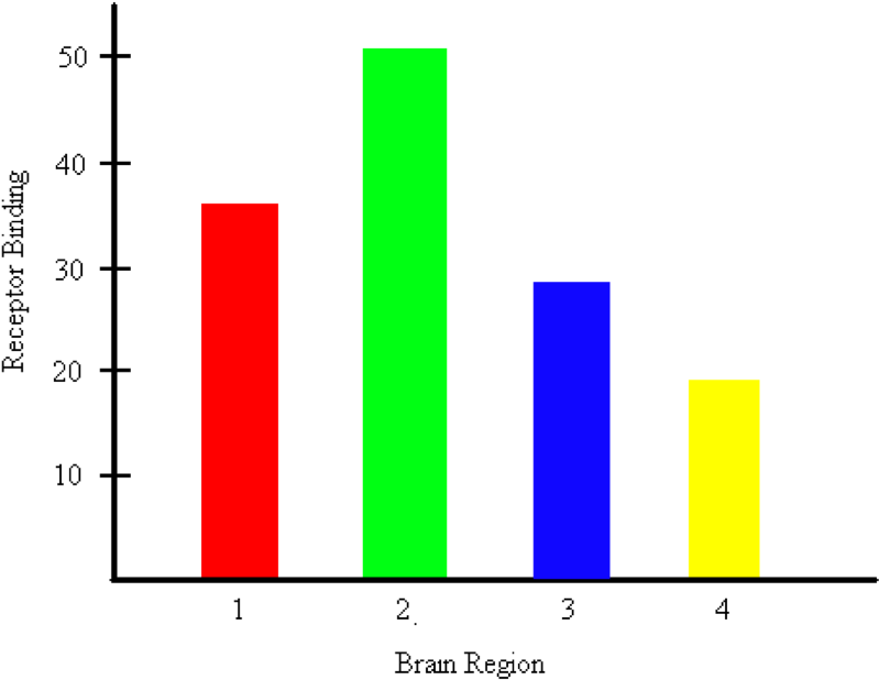 Empty Bar Graph - Graphs About The Brain (902x693)