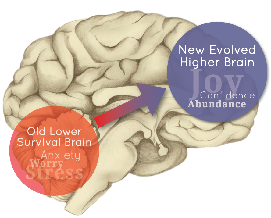 New Hope For Ptsd - Bone (927x792)