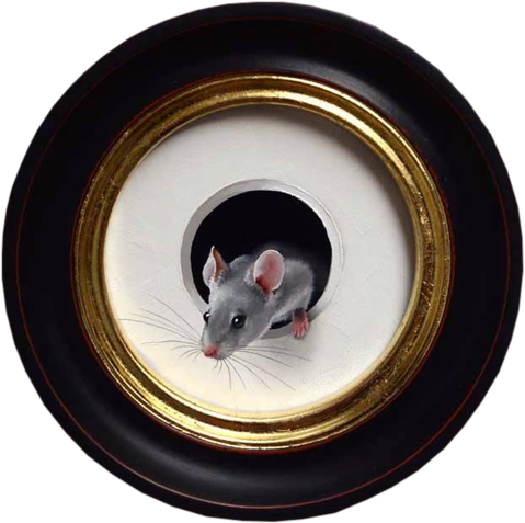 Rat (500x500)