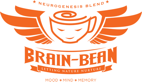 Brain (500x289)