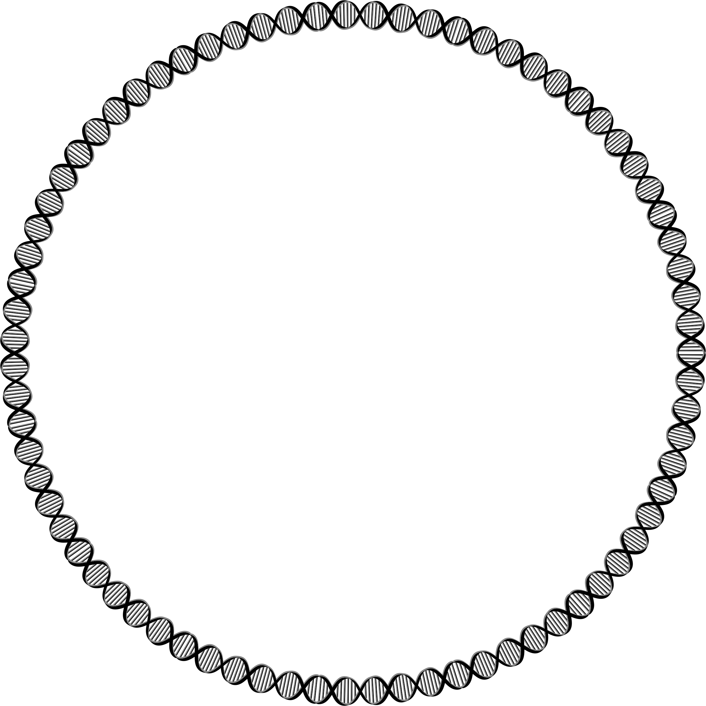 Big Image - Chain Circle Vector Png (2338x2338)