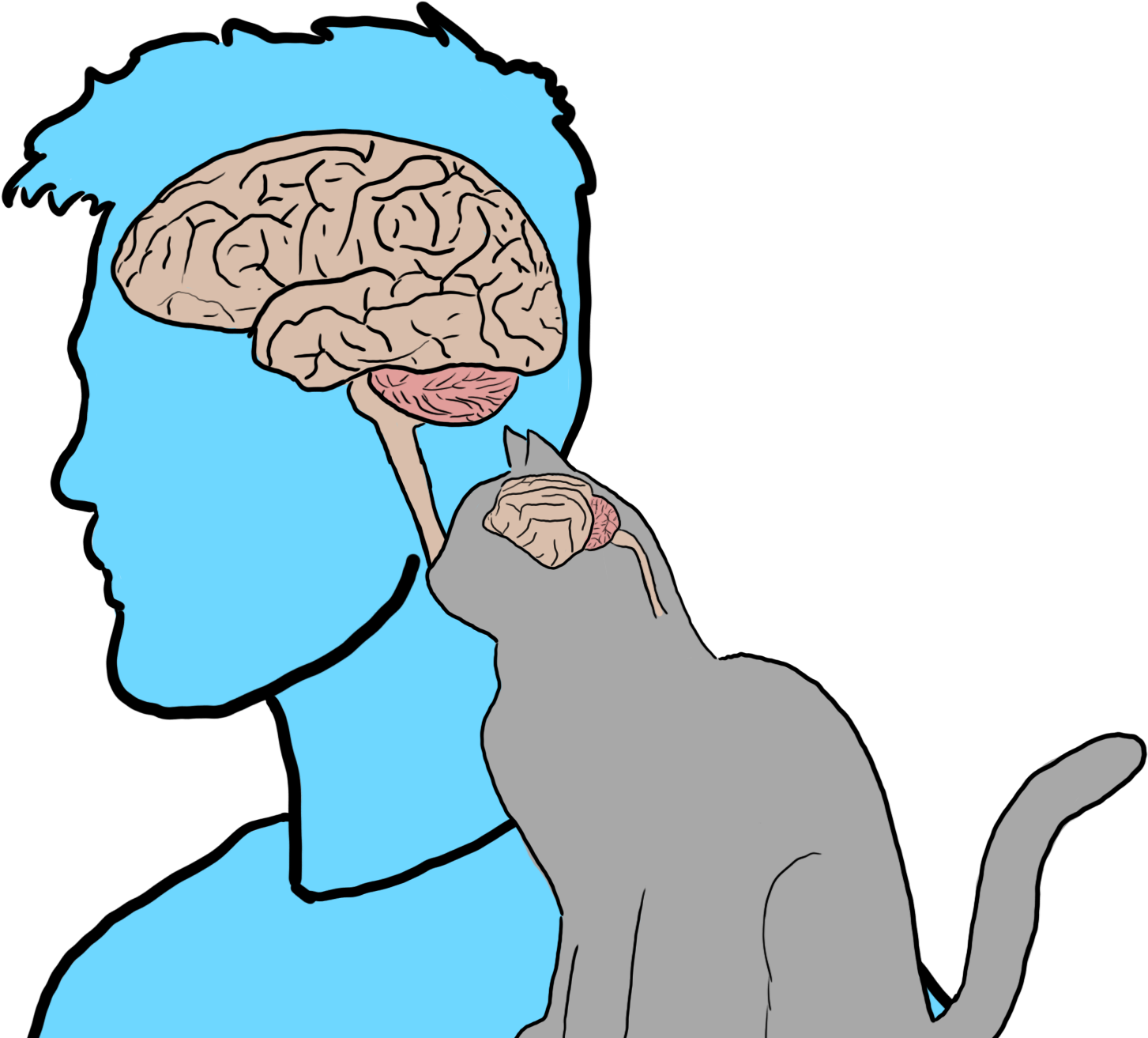 Cat Brain - Cat Brain (2000x1330)
