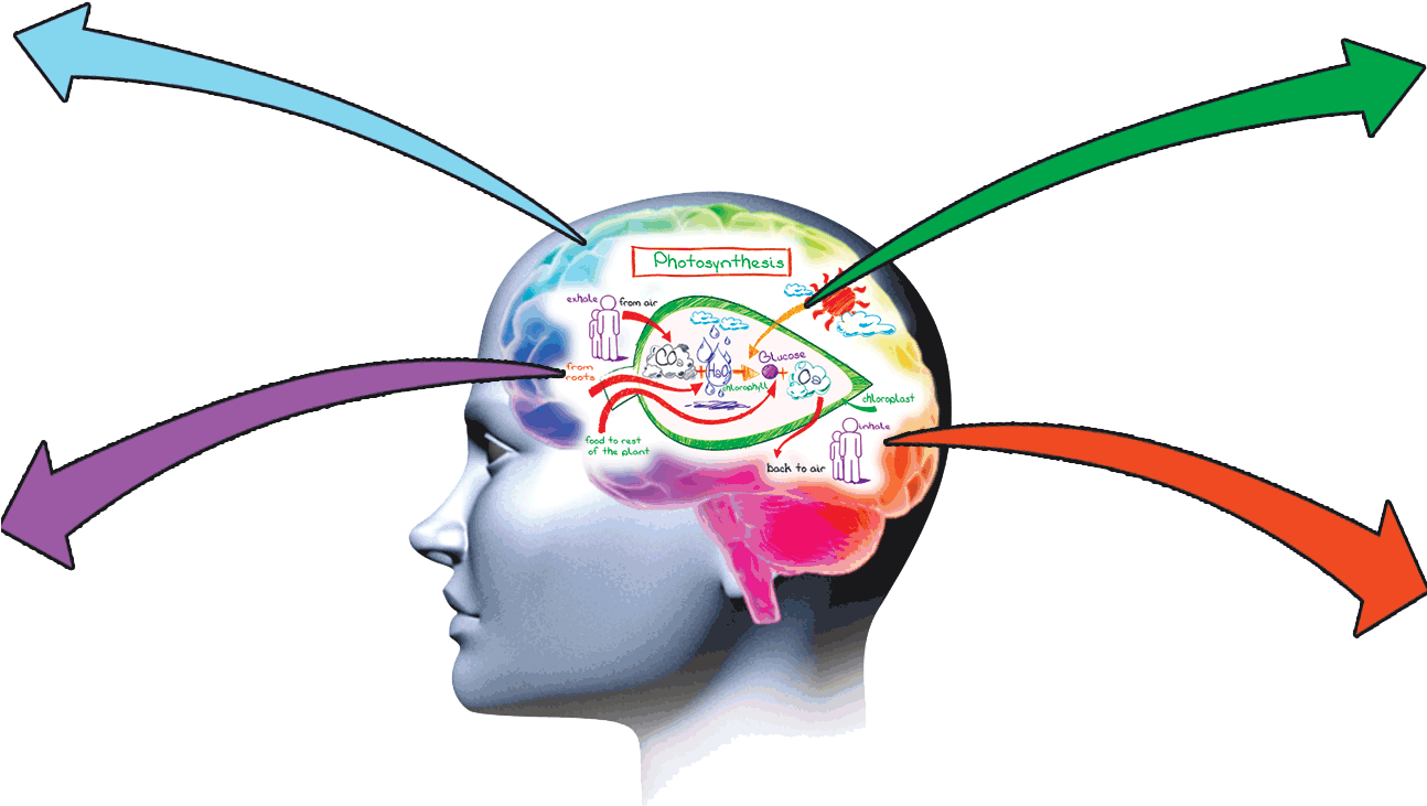 Memory Clipart - Improve Memory (1293x782)