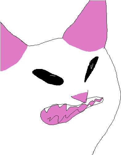 Concussion Cat - Concussion Cat (500x500)