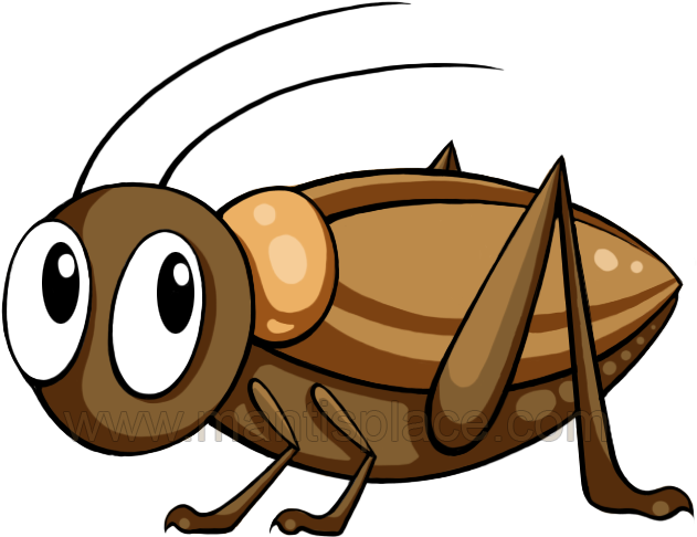 Com Praying Mantis Pets Amp Supplies - Cricket (738x581)