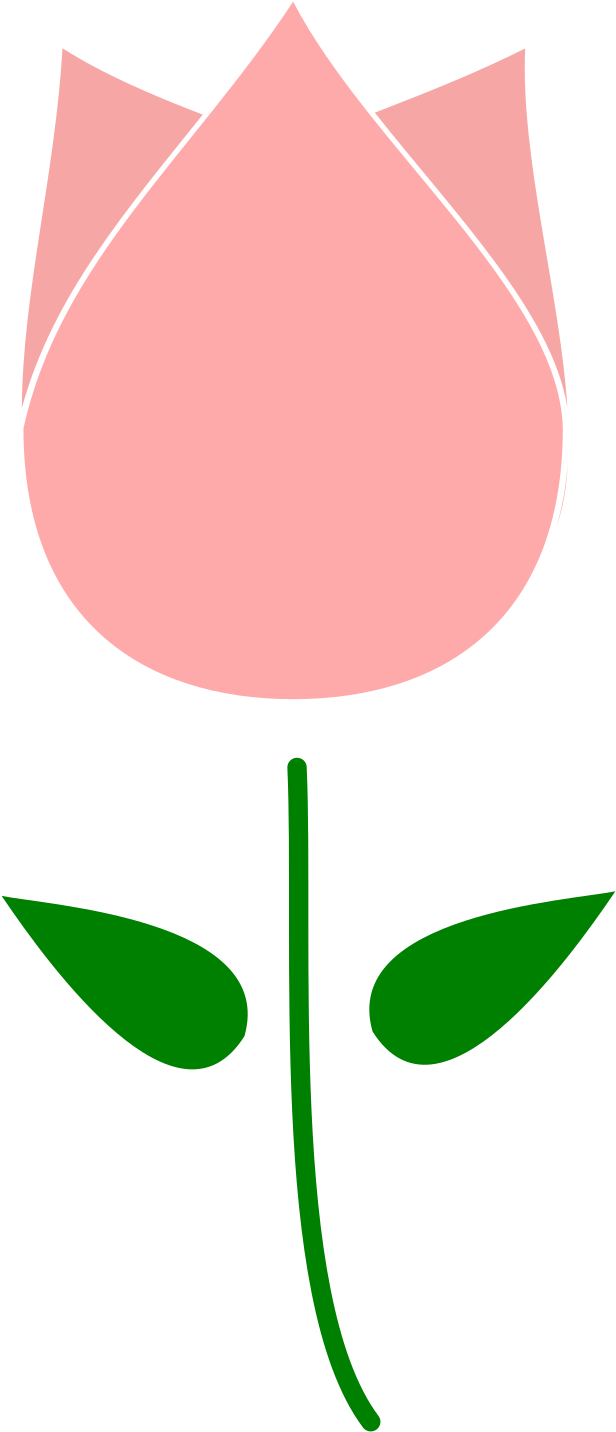 Clipart Tulip Flower - Psd (3394x2400)